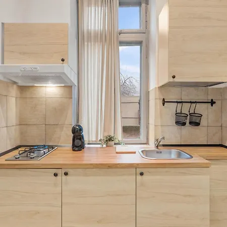 Spacious 2br By Cismigiu Park 公寓 布加勒斯特
